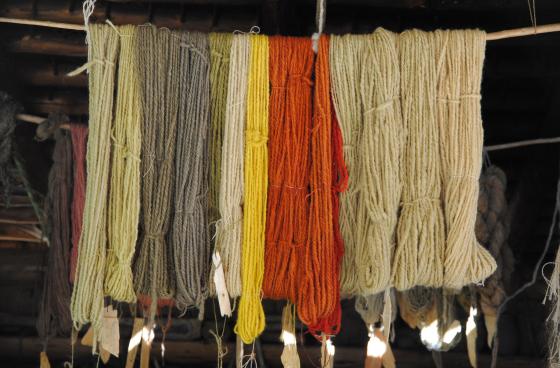 Woad, Wow, Madder: Dyeing with Plants