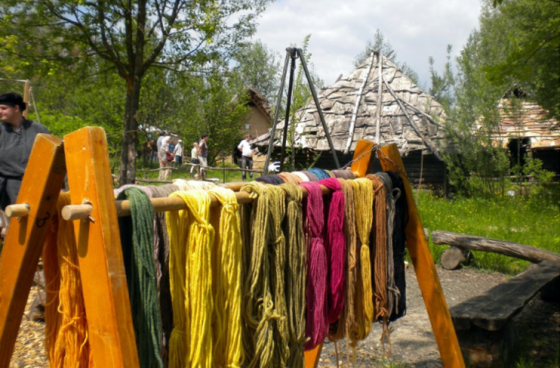 Dyeing with natural plants