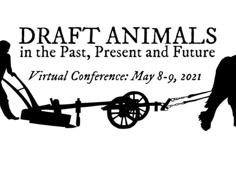 Draft Animals - Past, Present and Future | EXARC