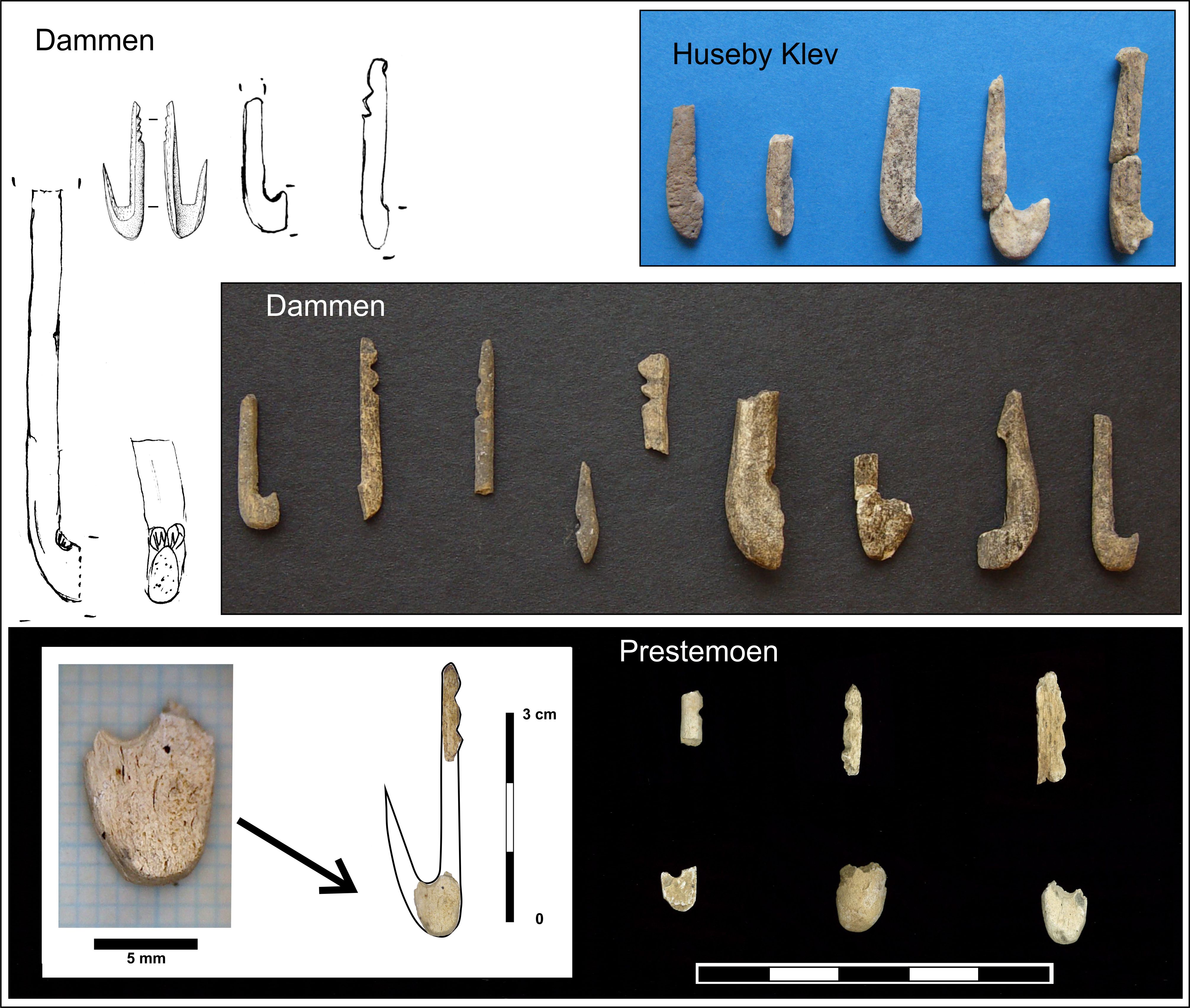 Roe Deer as Raw Material for Middle Mesolithic Fishhooks? An Experimental  Approach to the Manufacture of Small Bone Fishhooks