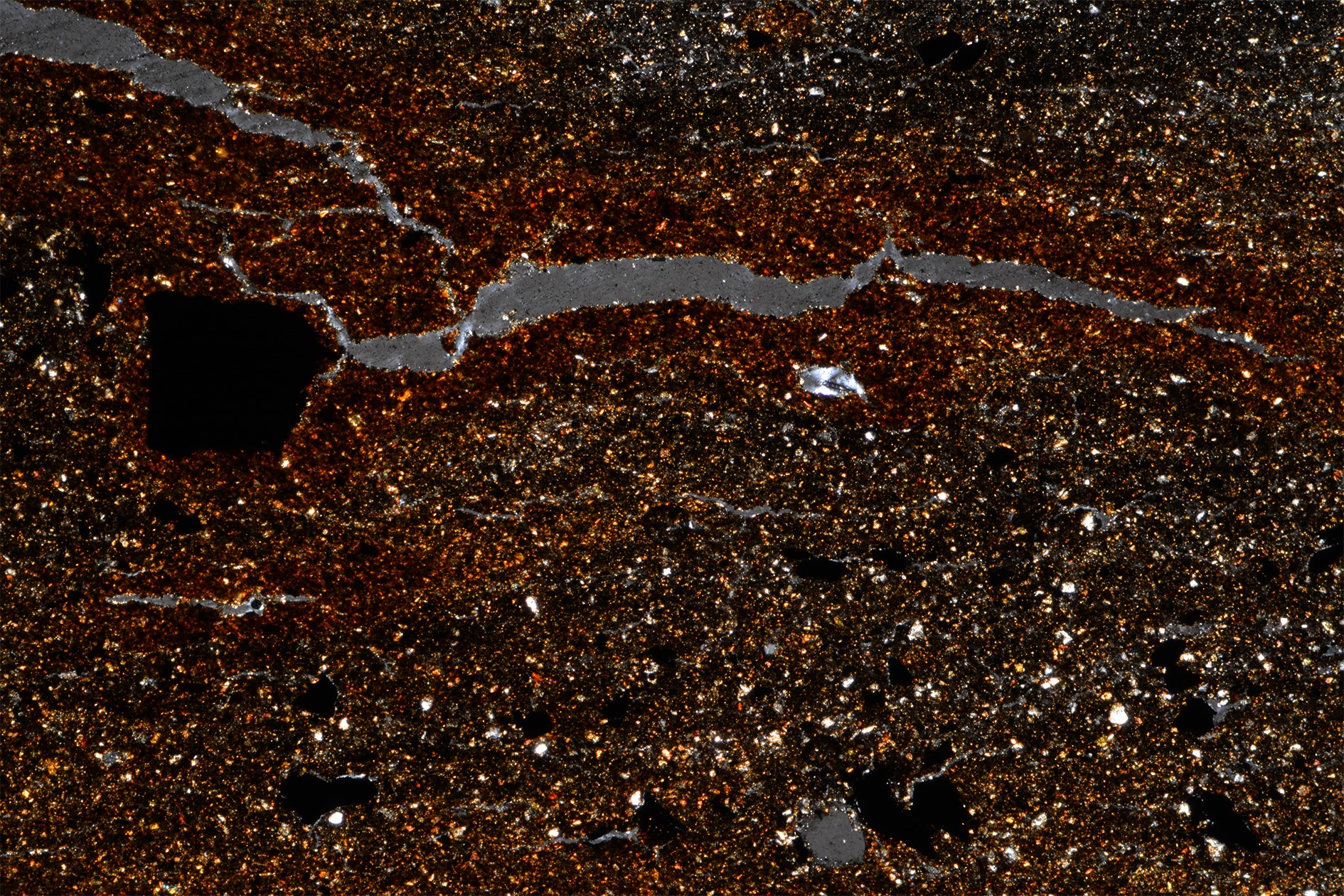 Adventures in Woad: Woad Dyeing in the Ancient, Medieval, and Modern ...