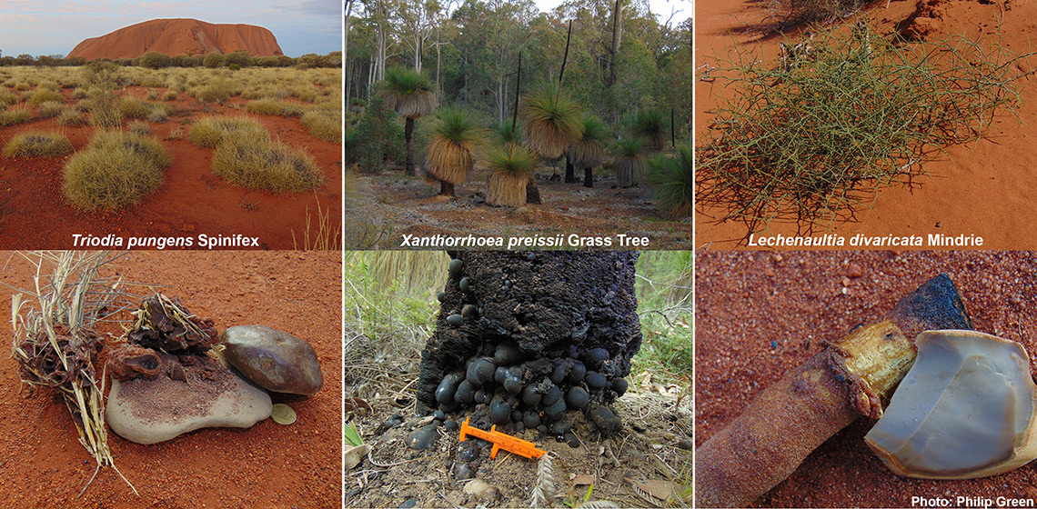 Hafted Tool-use Experiments with Australian Aboriginal 