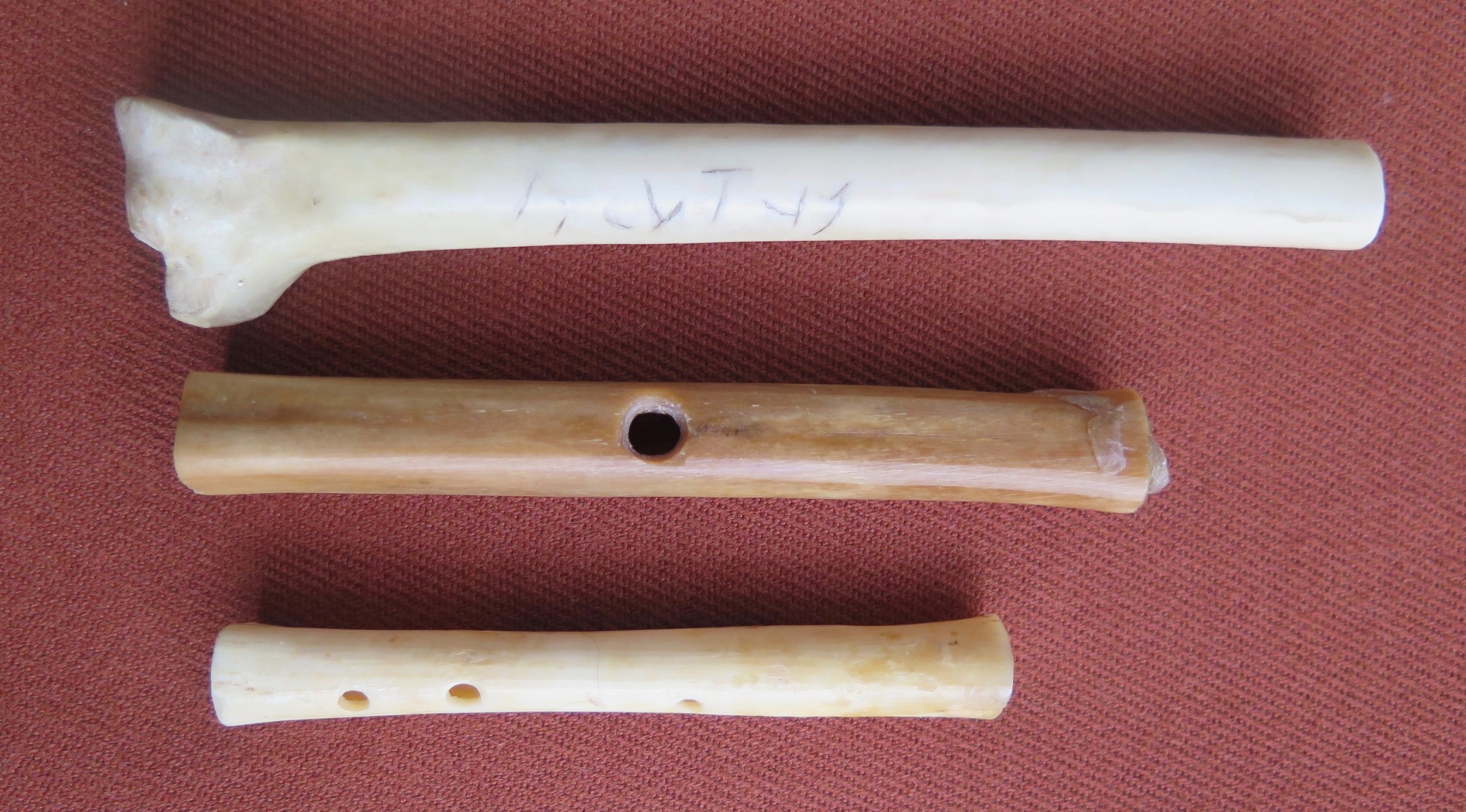 Acutus’ Eagle Bone and Two Bone Tubes with Holes Found in A Roman Fleet ...