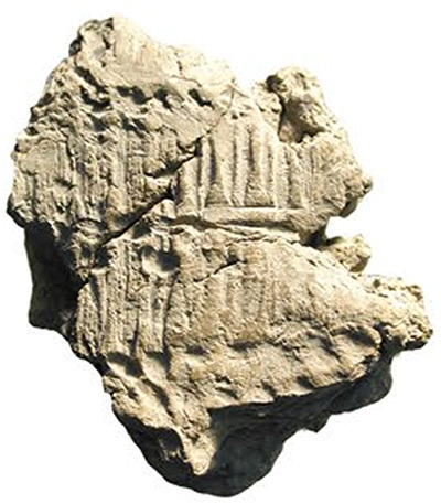 Type 3