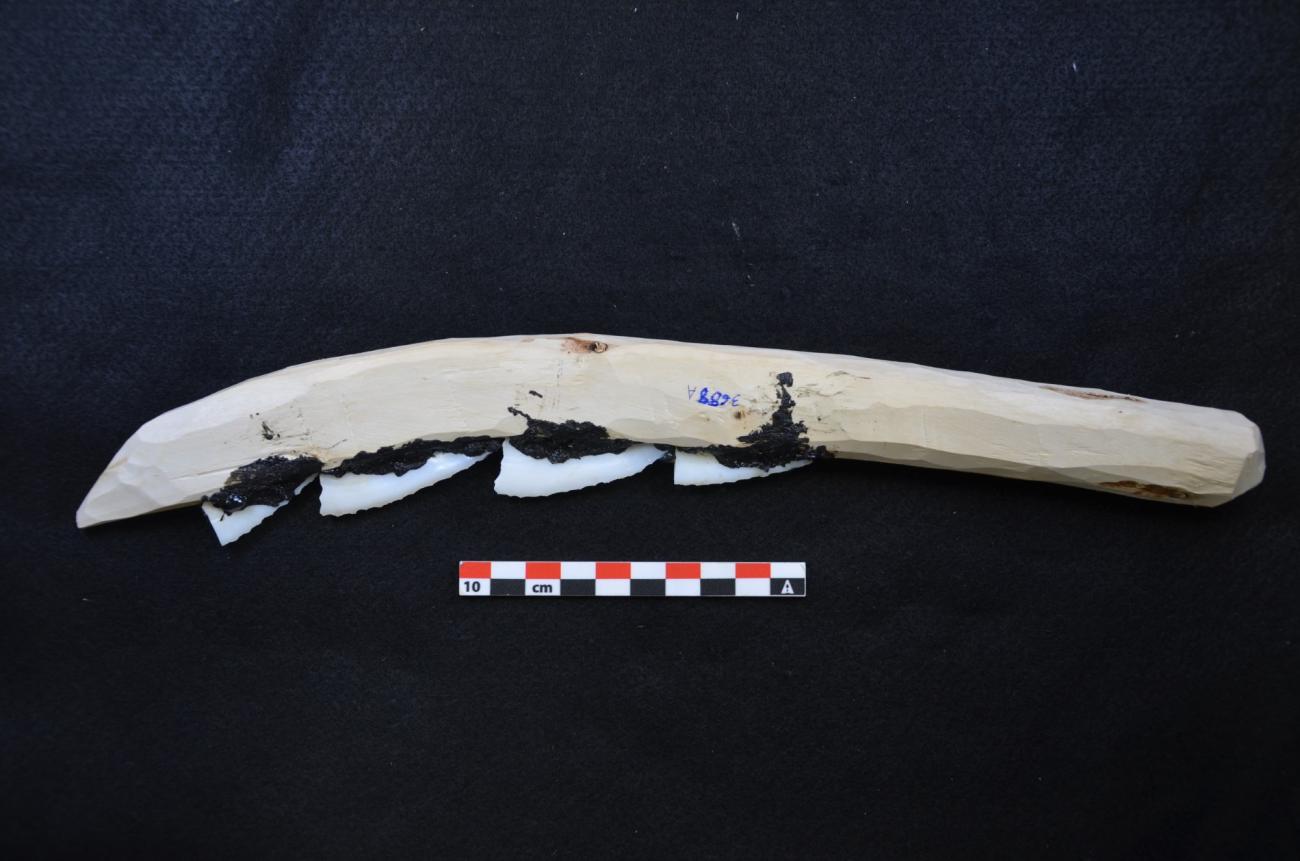 An Experimental Investigation of Alternative Neolithic Harvesting Tools ...