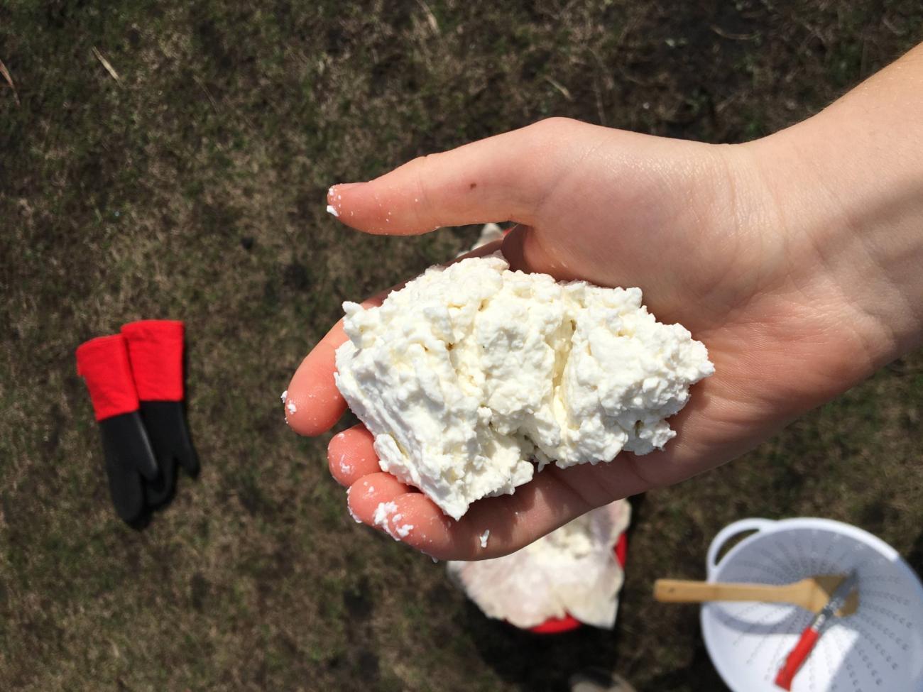 Launching an Experimental Archaeology Course at the Undergraduate Level ...