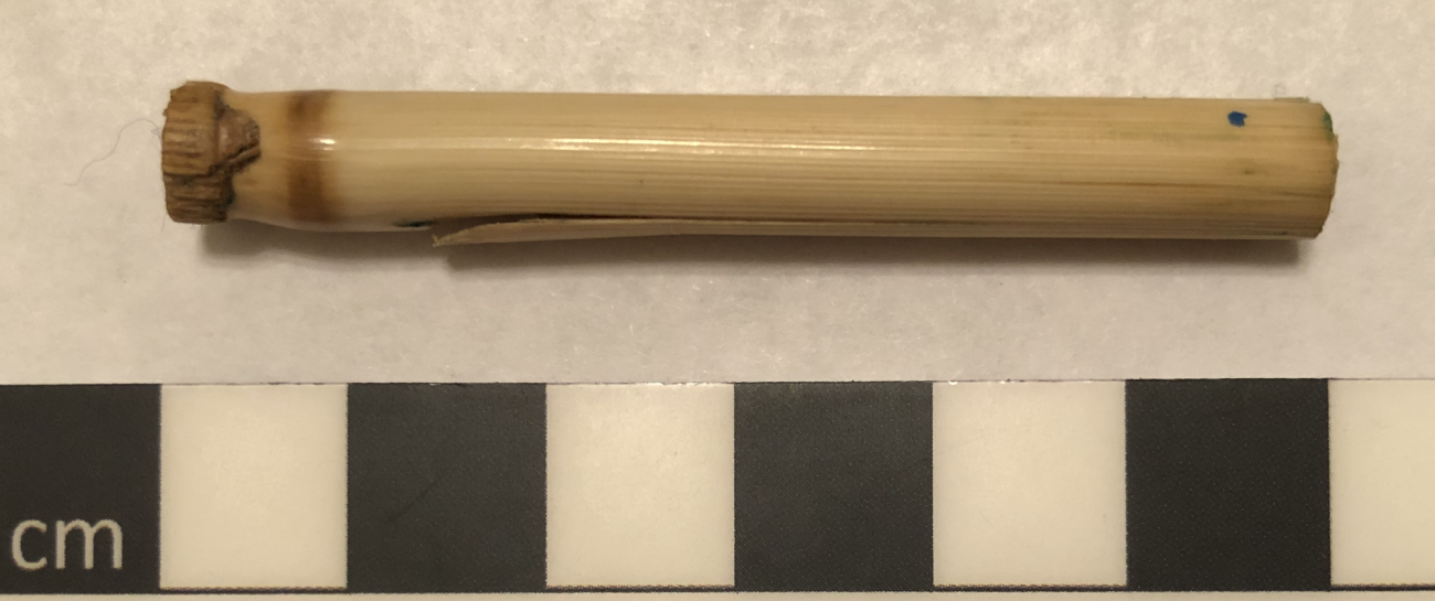 Early Medieval Bone Pipes: Understanding the Sounds of These ...