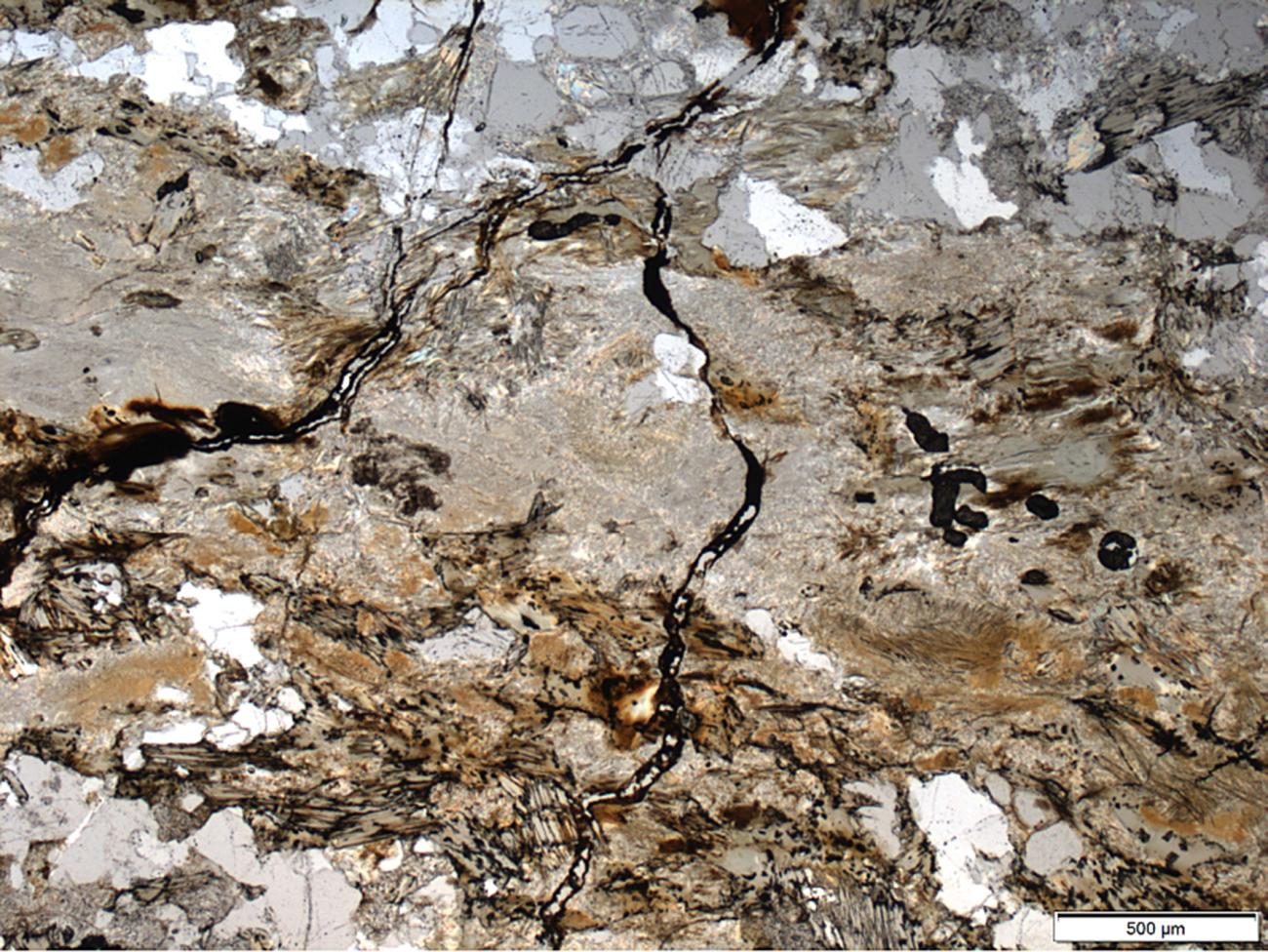 The Variation of Elastic Modulus and Changes of Structures and Mineral ...