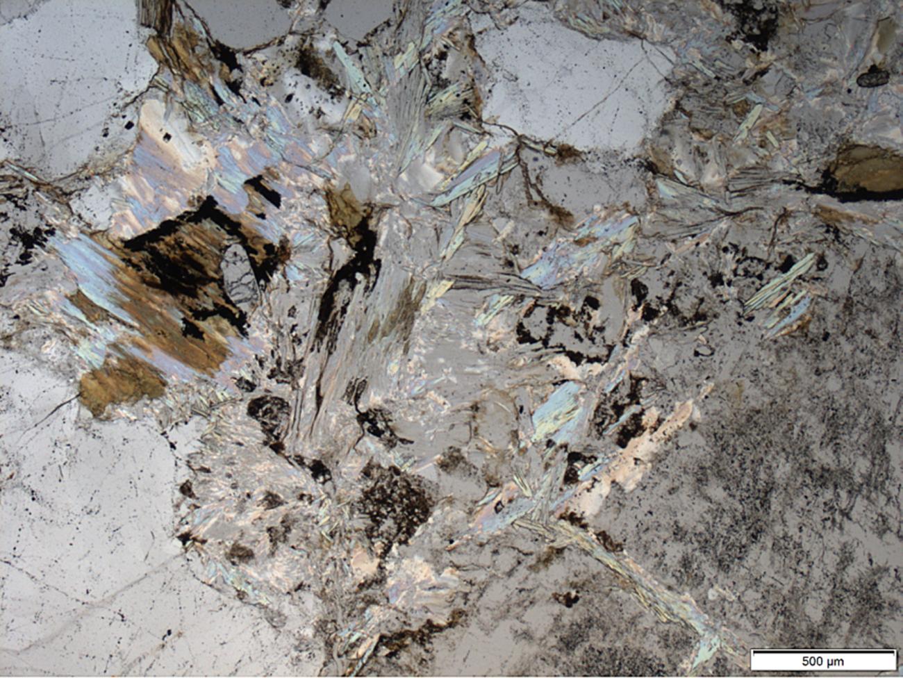 The Variation of Elastic Modulus and Changes of Structures and Mineral ...