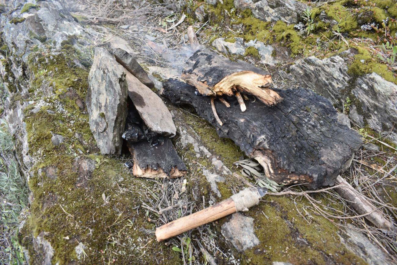 Prehistoric Immersions - Living, Experimenting and Feeling the ...