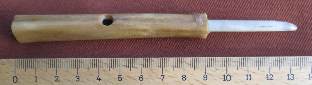 Acutus’ Eagle Bone and Two Bone Tubes with Holes Found in A Roman Fleet ...