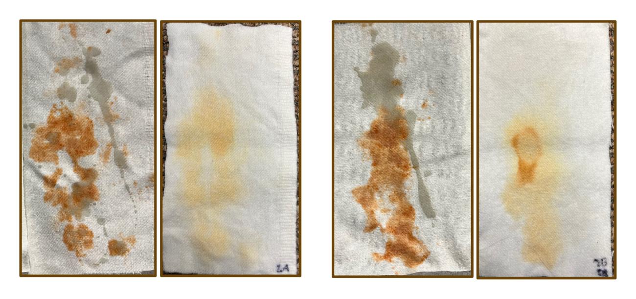 Reconstructing Textile Cleaning in the Ancient Roman Fullonicae | The ...