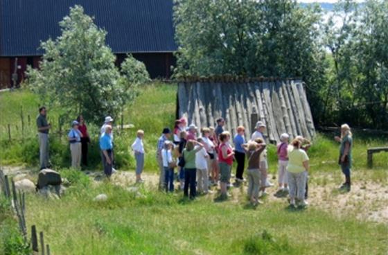 Archaeology Day at Foteviken