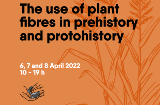 The Use of Plant Fibres in Prehistory and Protohistory