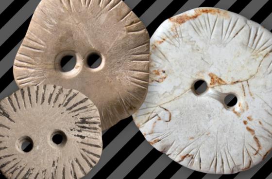 Black on White: The Riddle of the Stone Age Discs from the Blue Valley