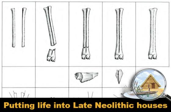 Deer and the metapodium technique