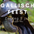 Galllic Festival